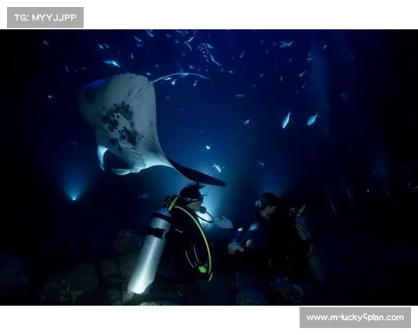 矿坑赛场夜潜项目开发 荧光浮标系统保障安全引导路线